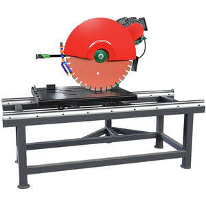 Raytech 10 Diamond Saw